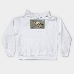 A goldfinch in an English garden Kids Hoodie